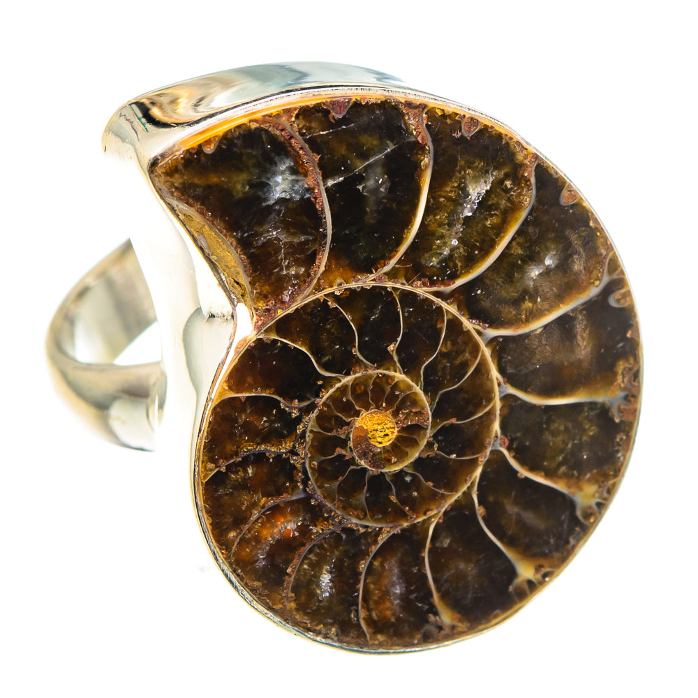 Ammonite Fossil Rings handcrafted by Anasilvercos - RING91587