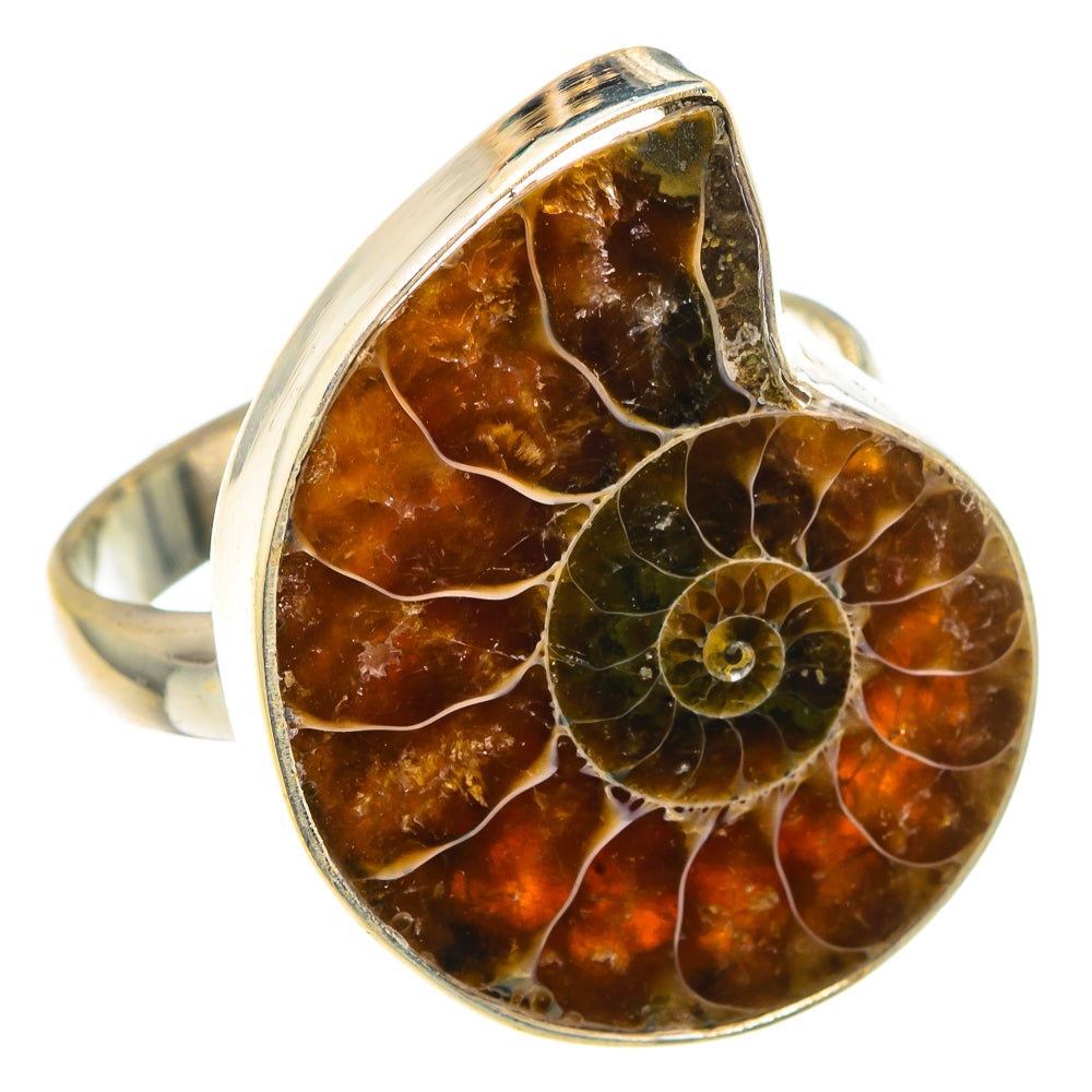 Ammonite Fossil Rings handcrafted by Anasilvercos - RING91697