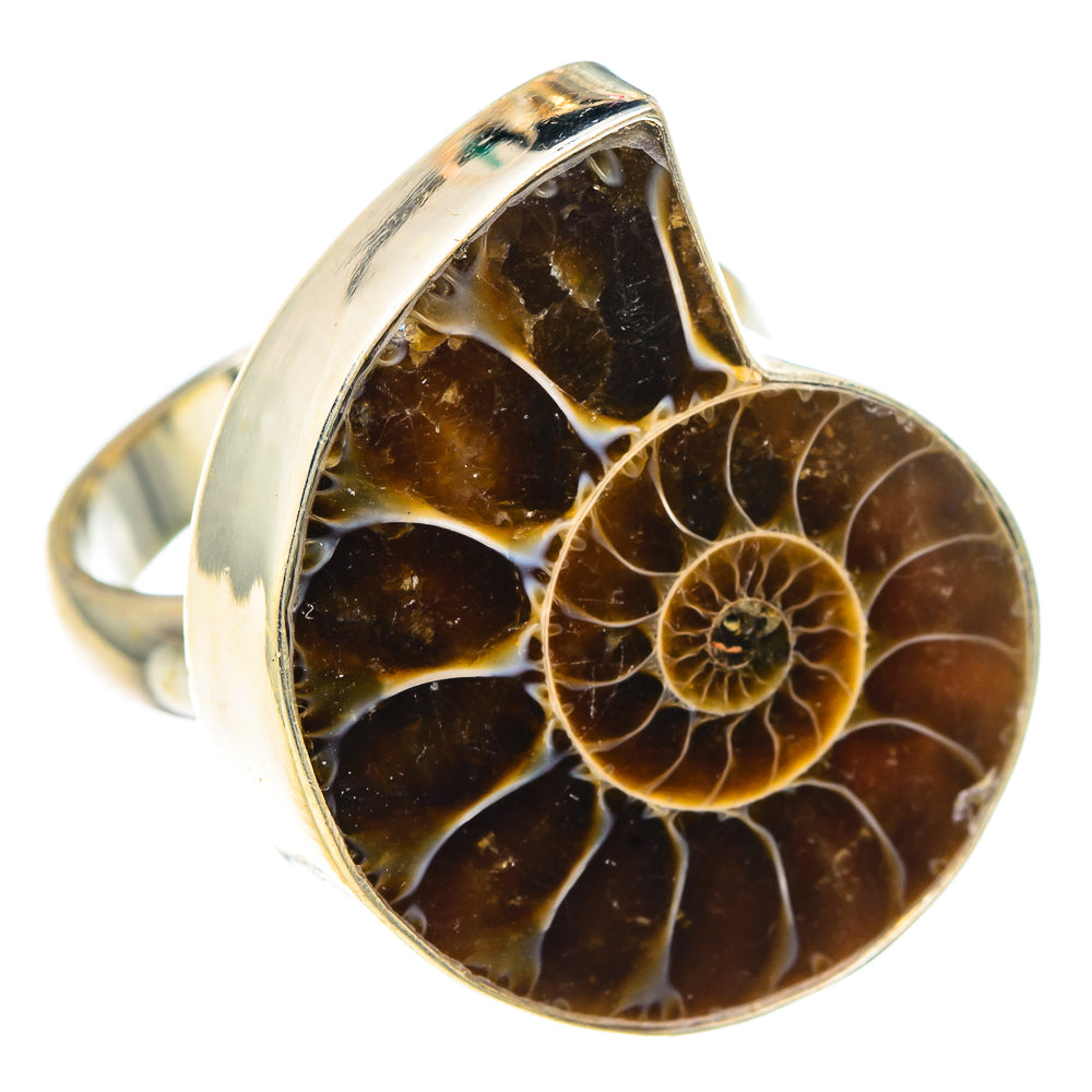 Ammonite Fossil Rings handcrafted by Anasilvercos - RING91772