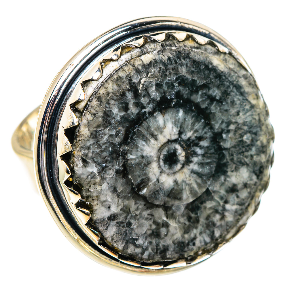 Goniatite Fossil Rings handcrafted by Anasilvercos - RING95061