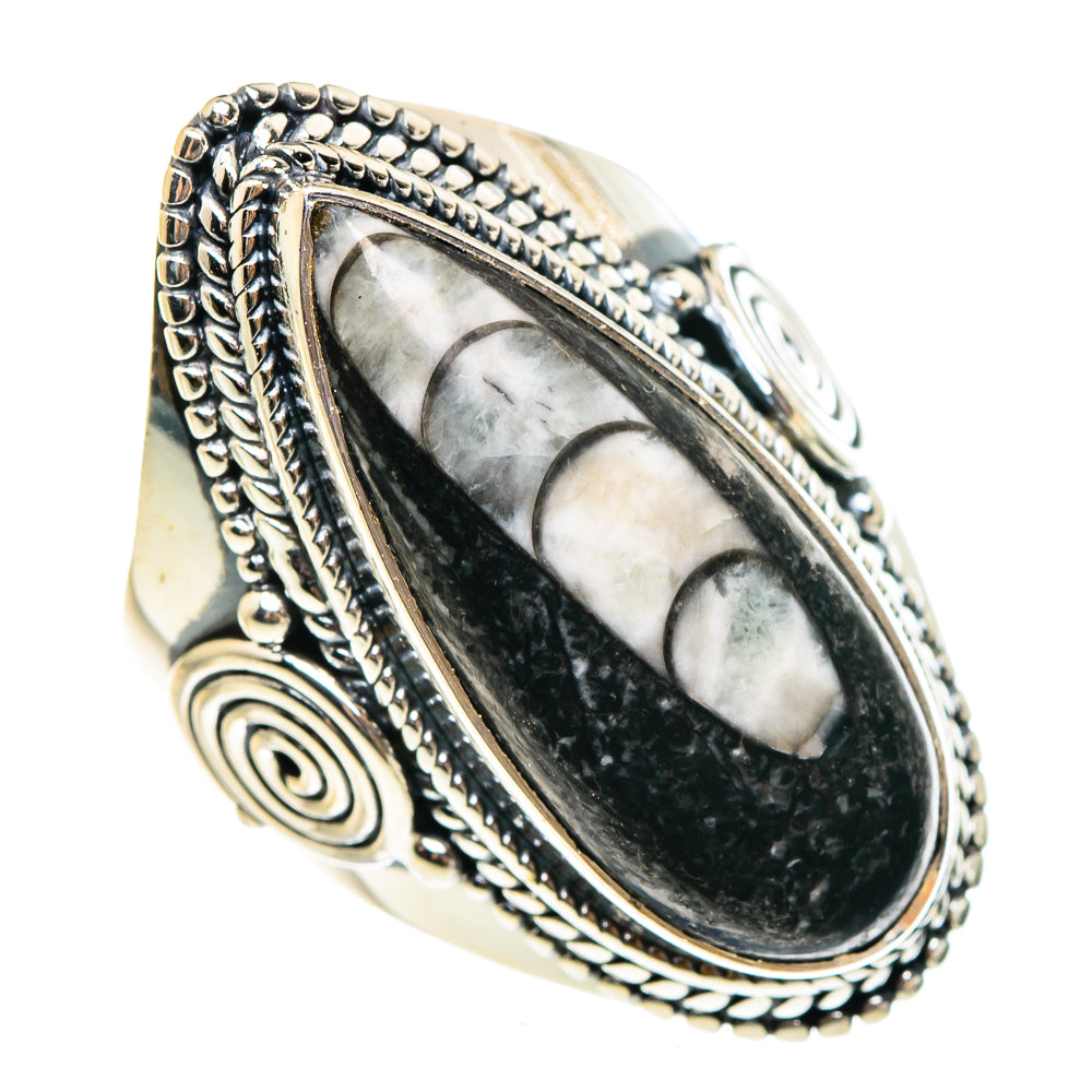 Orthoceras Fossil Rings handcrafted by Anasilvercos - RING95450
