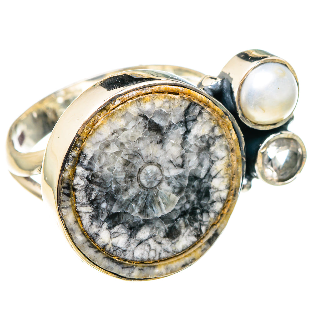 Goniatite Fossil Rings handcrafted by Anasilvercos - RING95726