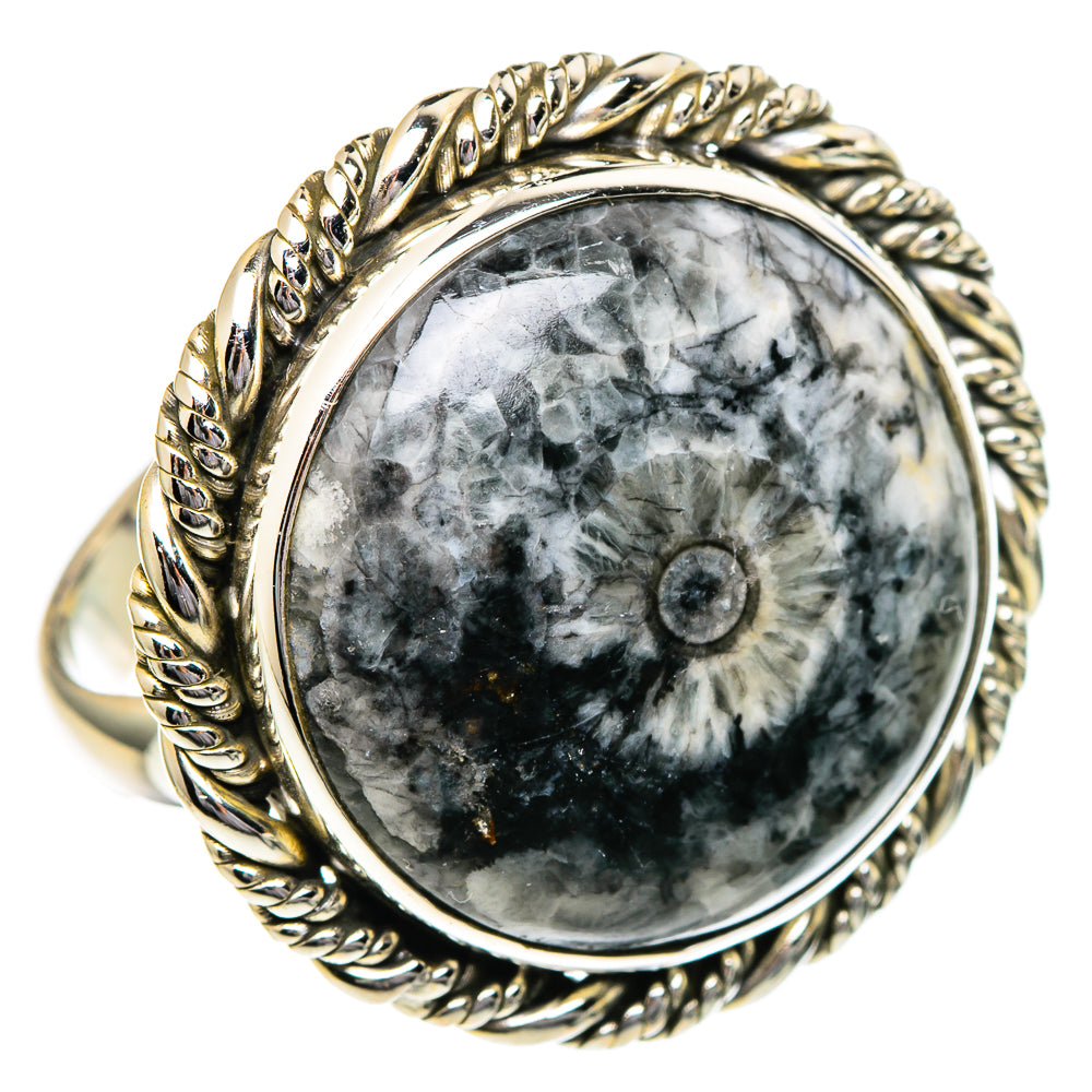 Moroccan Goniatite Fossil Rings handcrafted by Anasilvercos - RING96599