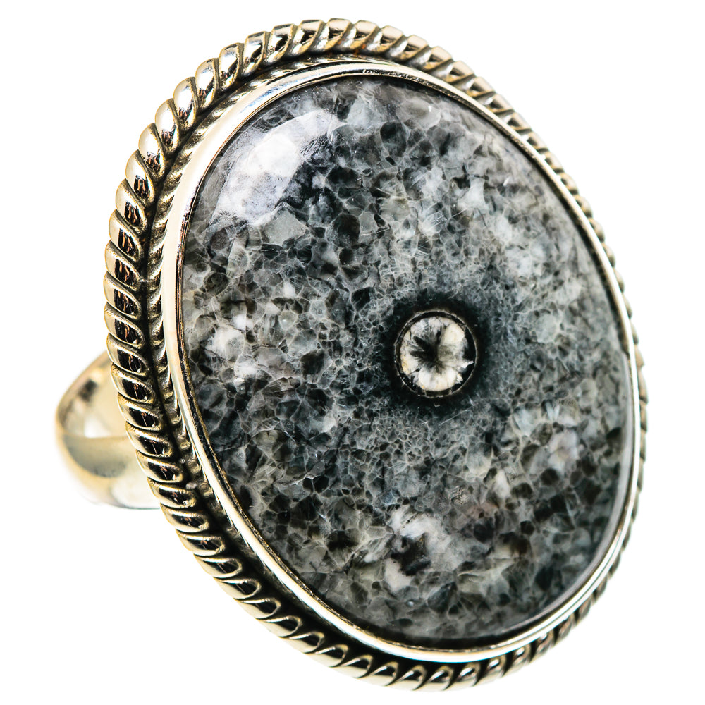 Moroccan Goniatite Fossil Rings handcrafted by Anasilvercos - RING96956