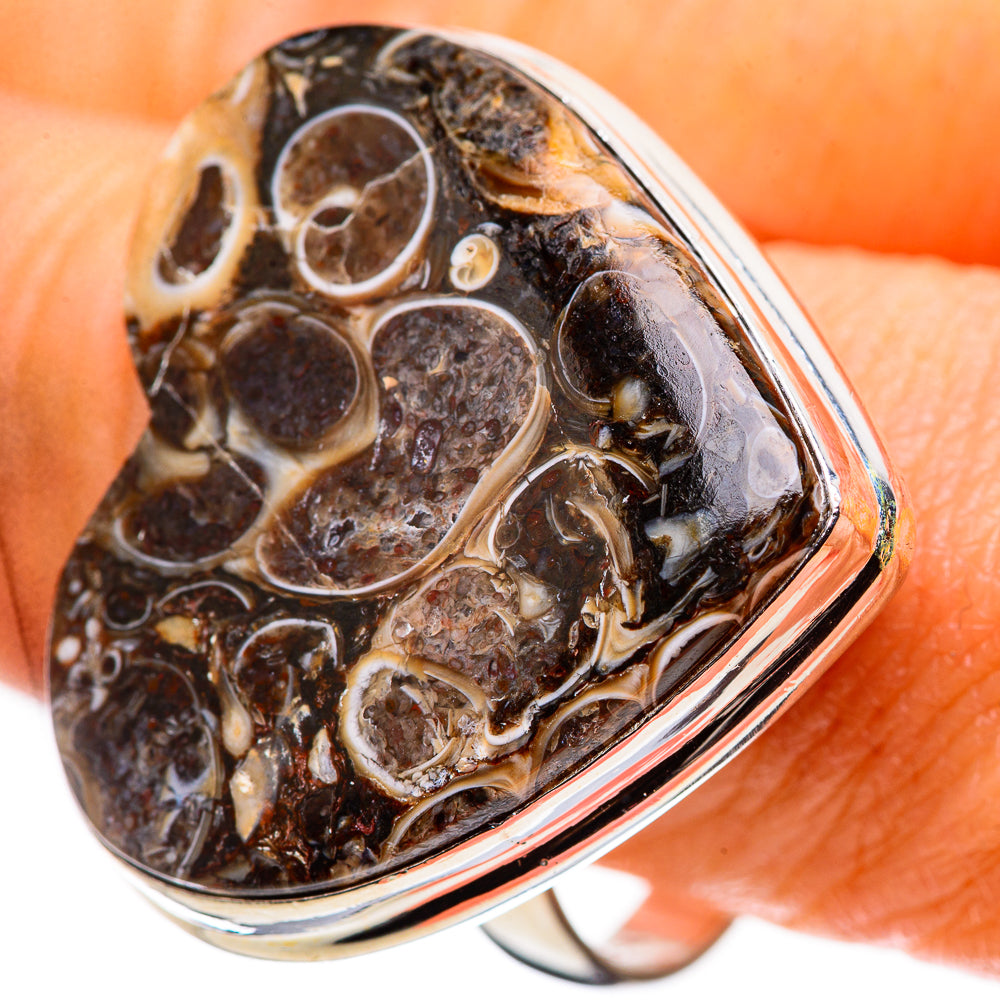 Large Turritella Agate Ring Size 10.75 (925 Sterling Silver) RING136163