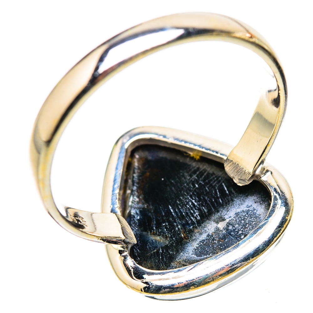 Anasilvercos Pietersite Ring Size 12 (925 Sterling Silver)